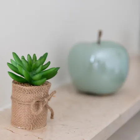 Somma Relax דירה סומה קאמפניה